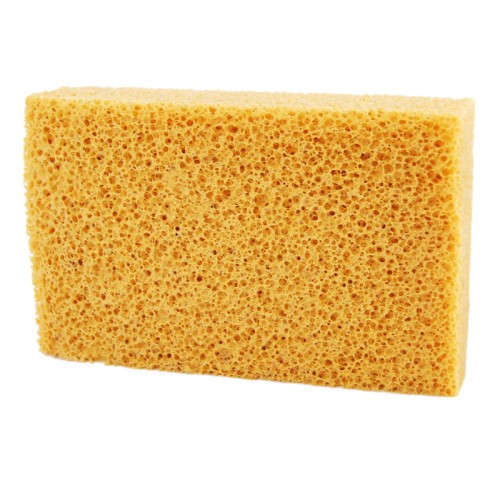 σφουγγαρι king sponge κοραλι σφουγγαρι king sponge κοραλι